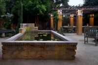 Willow Glen Style